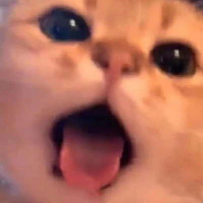 875475 沐二