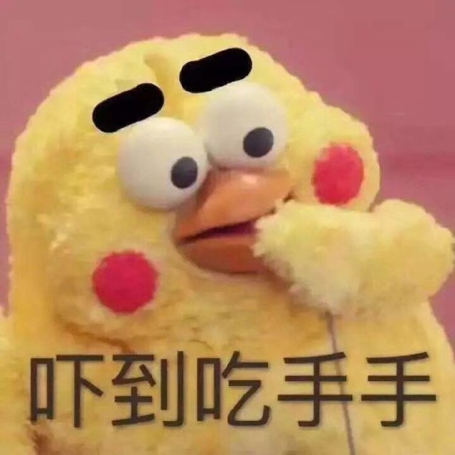 875507 乐小渔