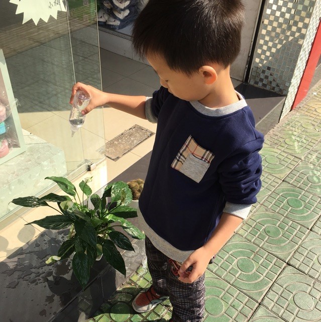 875564 披风少年