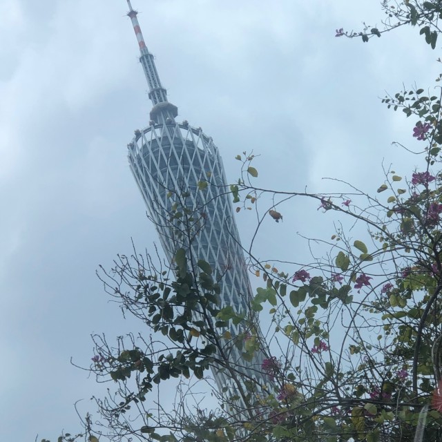 87560 A浮云87560