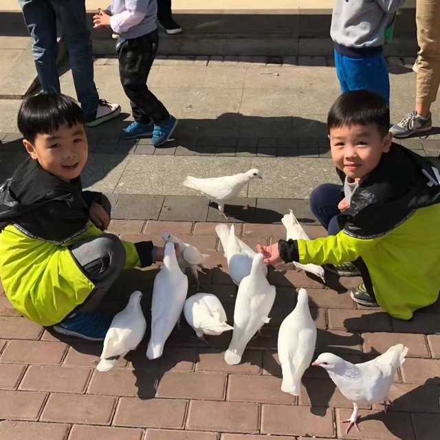 875860 笑看人生