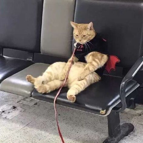 876395  