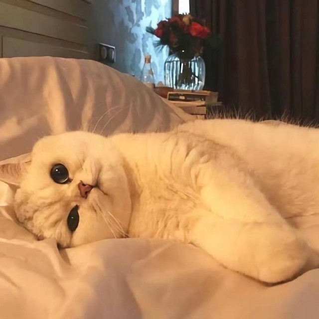 876408876 晚了