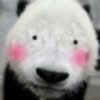 876917 Bearmr