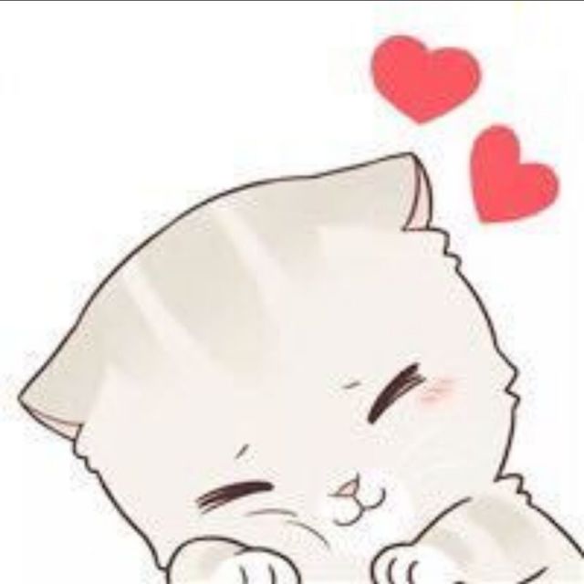 877517 大熊