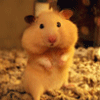 877736 ♥Jasmine♥