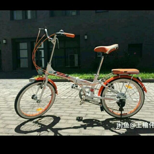 878393 登高远望