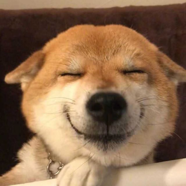 878441 大 婊 哥 。