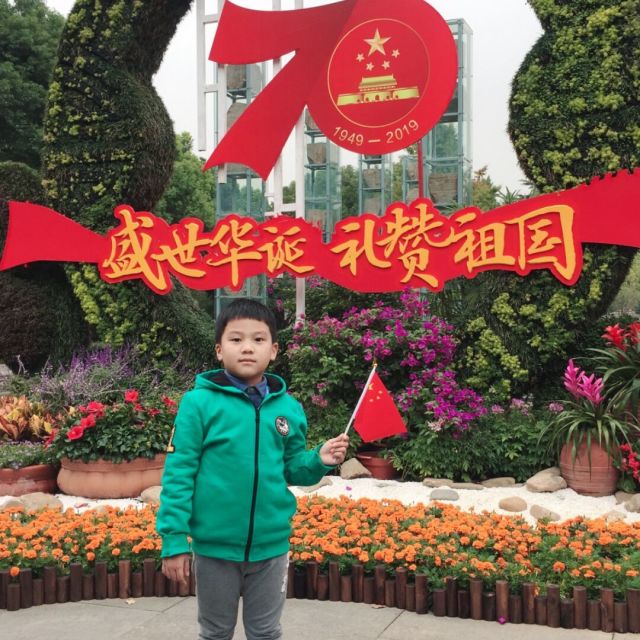 878515 洋葱头