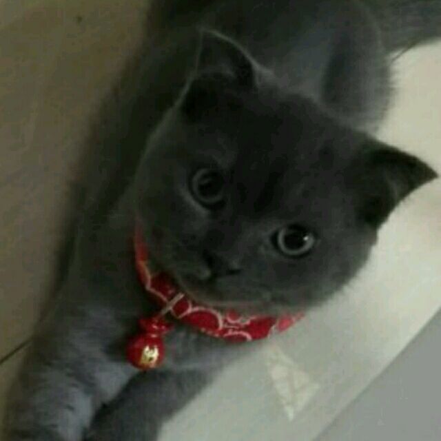 878766 Super Oscar