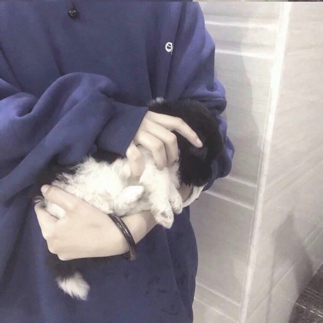 878771 木头﹑๑