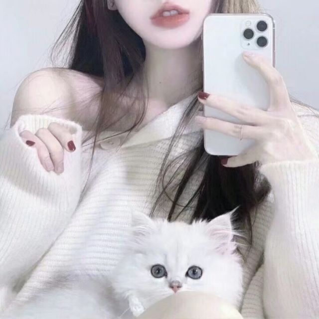 879025 单曲循环
