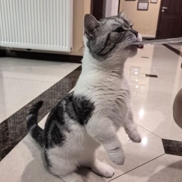 87979 磊磊