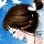 880397 mokoo