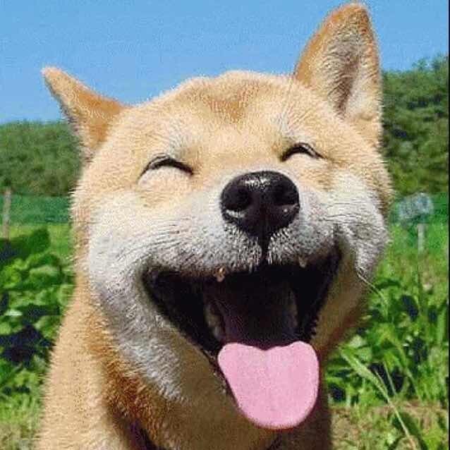 881098 . 我怀念的