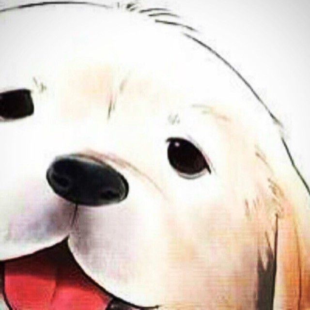 881273 依然肉多多