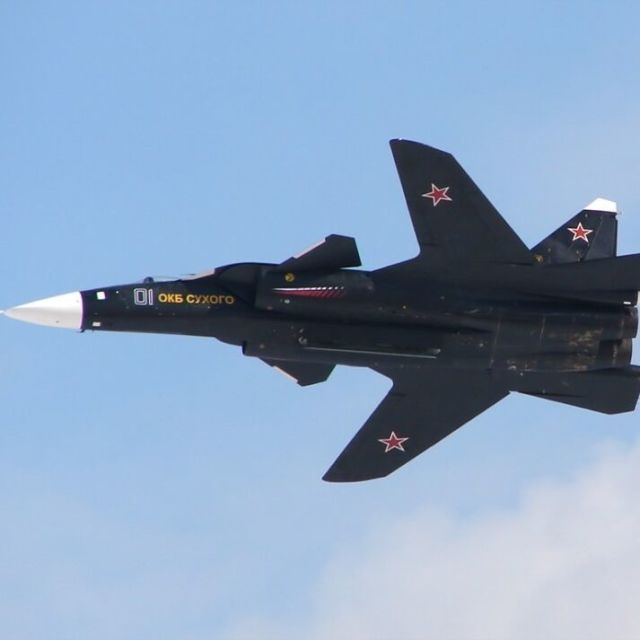 881712 兔子