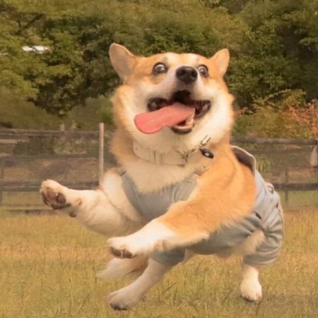 881829 江力