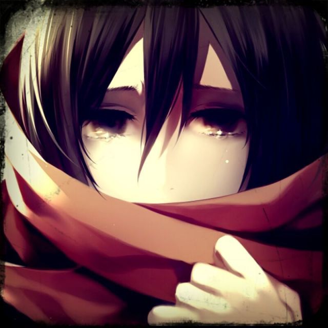 88184 Jungle-書