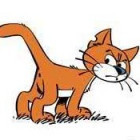 882148 A滋猫