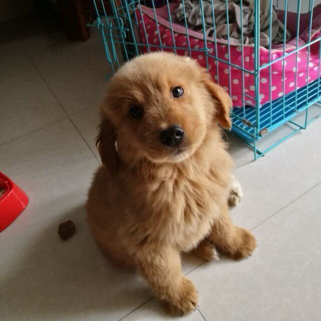 882302 朱晓炫妈妈