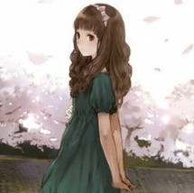 882307 墙角边的野百合