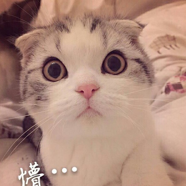 88329 宅在家里等天黑