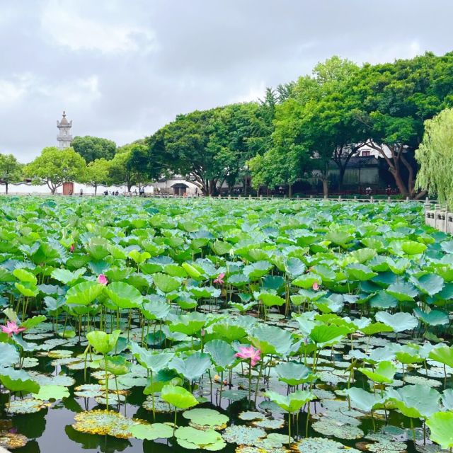883352 泡泡困了