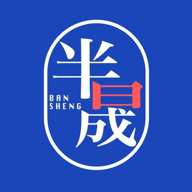 88339 半晟大当家