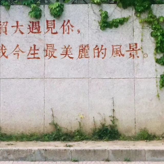 884418  ffzz