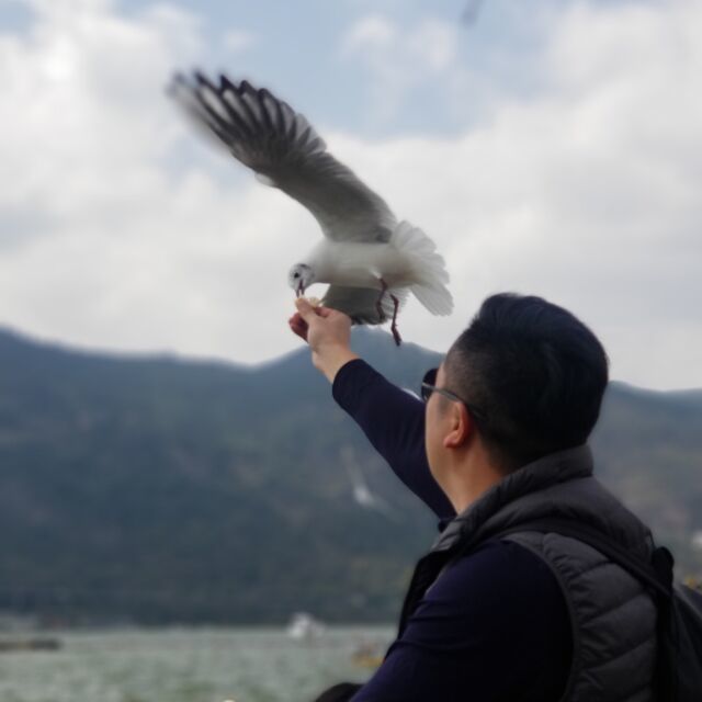 88451 楼楼