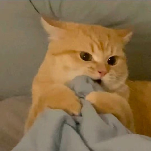 88467 A—金币经纪人