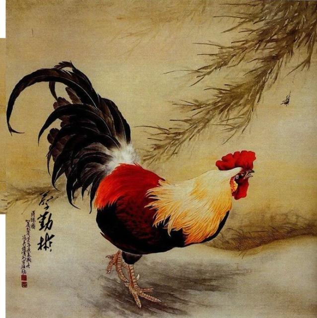 884838 南方先进-蔡生-只做正品