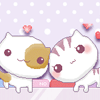 884894 小猫