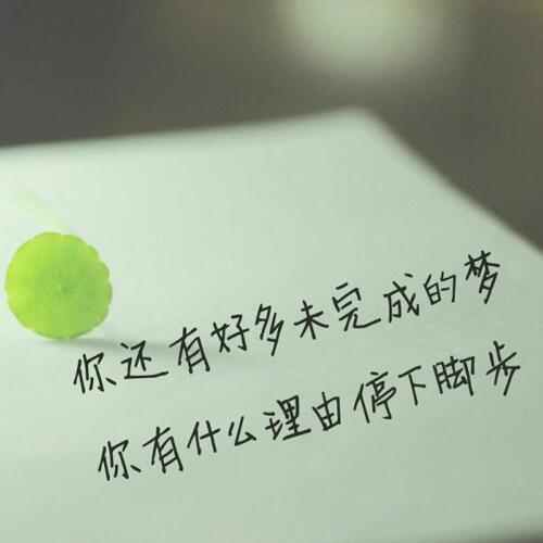 88494 陈文忠【屏蔽请加验证号】