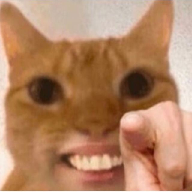 885424 一直在冬季