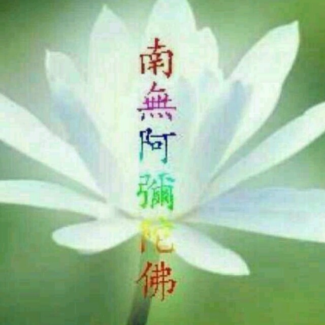 88560 樂樂游