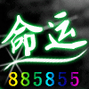 885855 .小命丶 