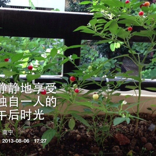 886497 阳光灿澜