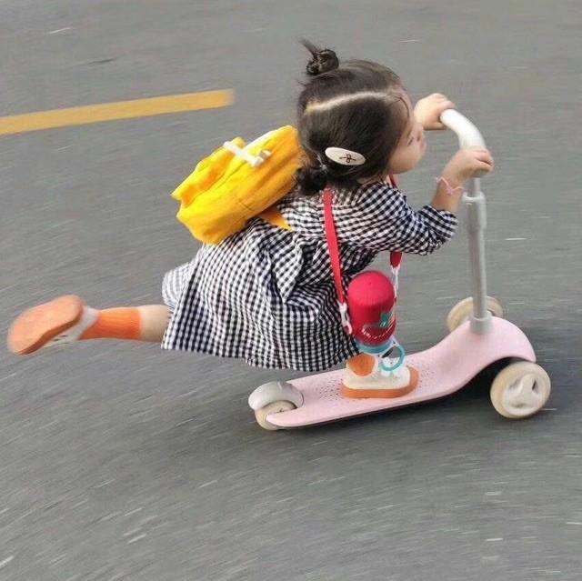 886864 幸运草