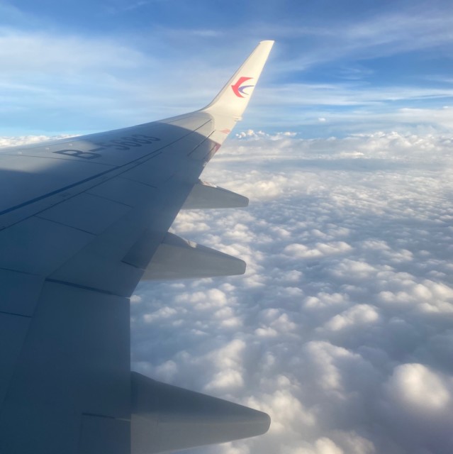 887202 夏天