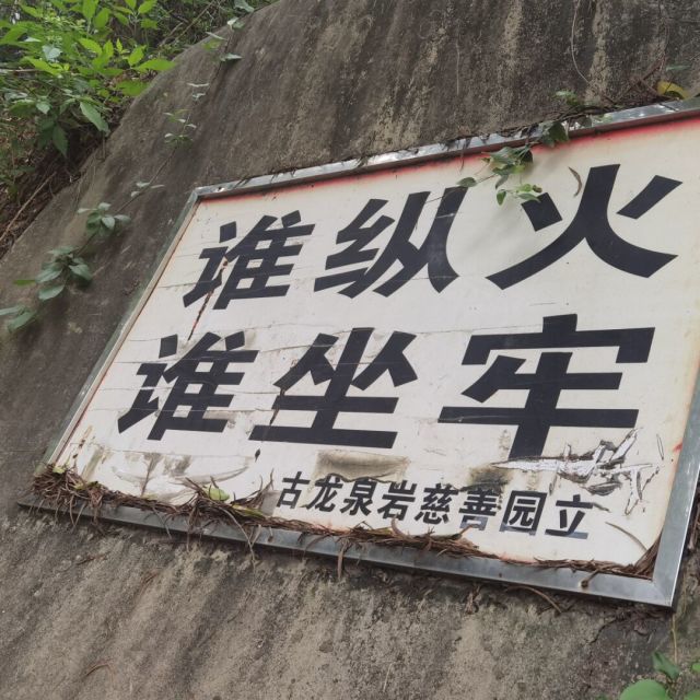 887360 灰灰