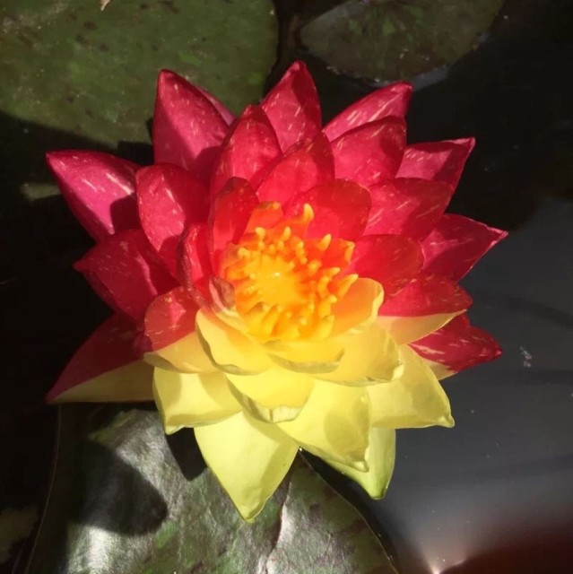 887519 蕾蕾@@