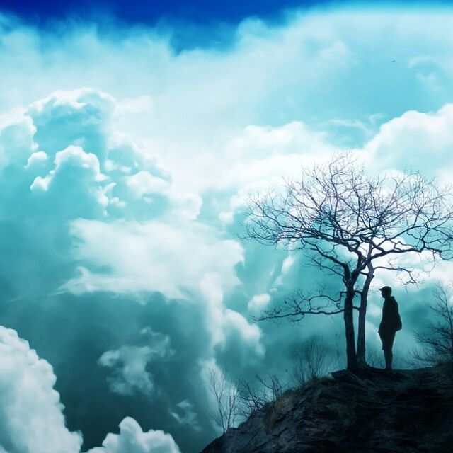 887680 skyi