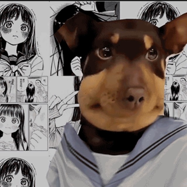 887723 天黑黑