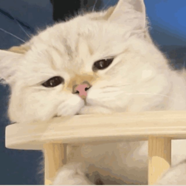 888191 
