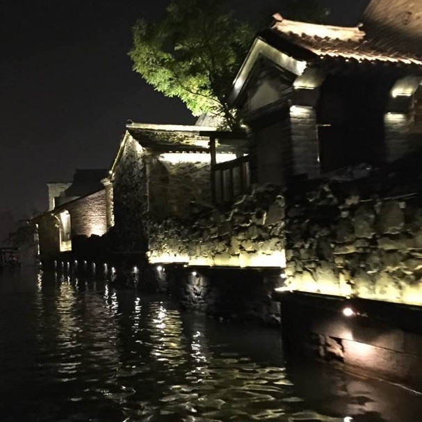 888231 潇洒哥