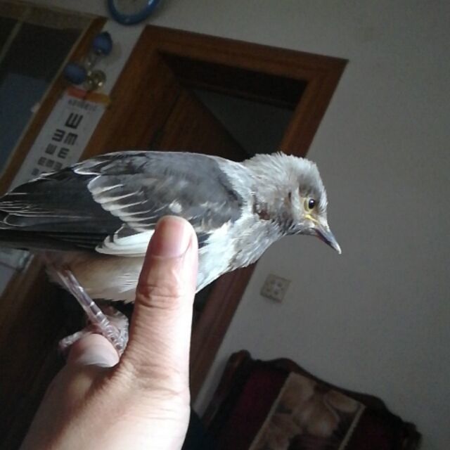 888330 裂創↓魂殤◈