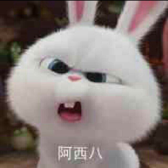 888583 感悟心情