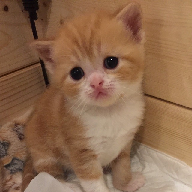 888891 聪明莉莉